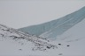 The ice wall around the Czajkowski nunatak