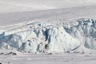 Ecology glacier closeup
